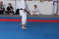 2019-05-25_ShotokanCup100