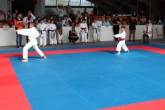 2019-05-25_ShotokanCup17