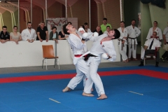 2019-05-25_ShotokanCup209