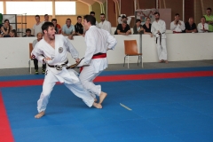 2019-05-25_ShotokanCup211
