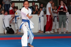 2019-05-25_ShotokanCup30