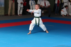 2019-05-25_ShotokanCup33