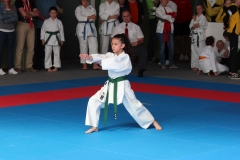 2019-05-25_ShotokanCup35