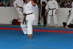 2019-05-25_ShotokanCup66