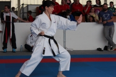 2019-05-25_ShotokanCup70