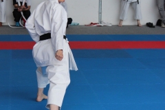 2019-05-25_ShotokanCup71