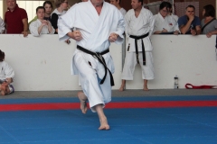 2019-05-25_ShotokanCup95