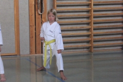 2019-07-05_Gürtelprüfung22