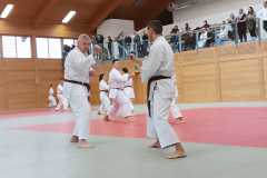 WhatsApp-Bild-2024-11-16-um-14.43.31_d7f714fc