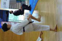 DSCN0036