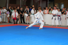 DSCN0295