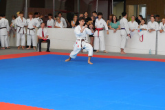 DSCN0444