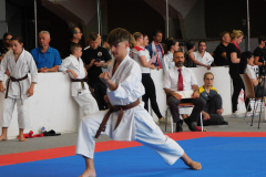 DSCN0458