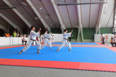 DSCN0478