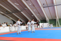 DSCN0490