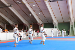 DSCN0505