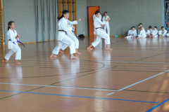 DSCN0657