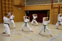 Nikolo2022-033