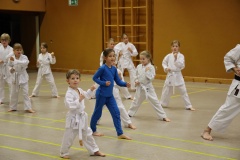 Nikolo2022-034